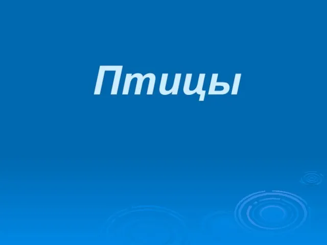 Птицы