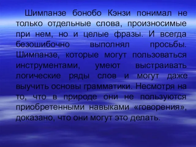 Шимпанзе бонобо Кэнзи понимал не только отдельные слова, произносимые при нем, но