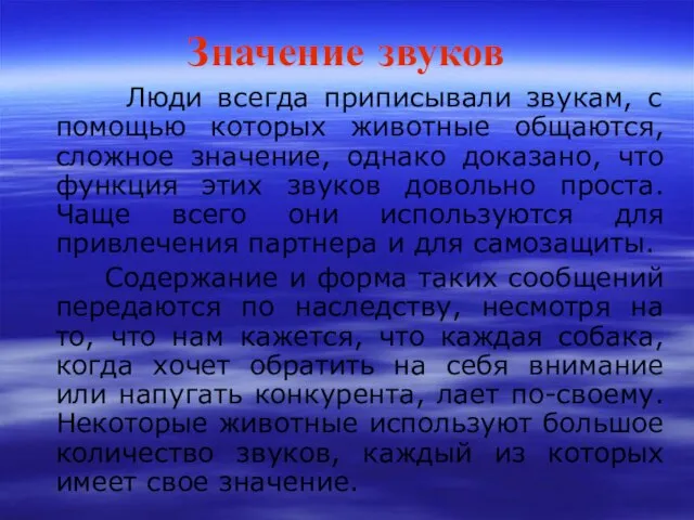 Значение звуков Люди всегда приписывали звукам, с помощью которых животные общаются, сложное