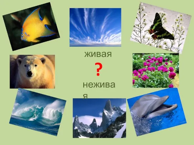 ? живая неживая