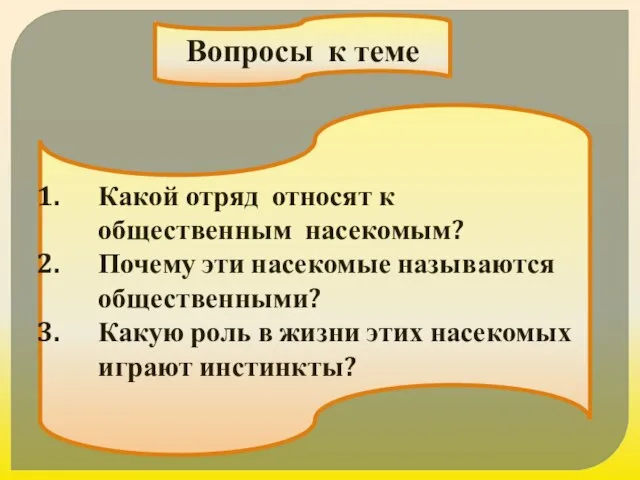 Вопросы к теме Какой отряд относят к общественным насекомым? Почему эти насекомые