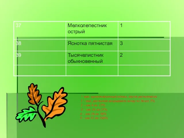 + вид, представленный одним, двумя растениями 1 – вид, растения покрывают почву