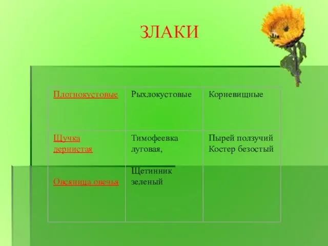 ЗЛАКИ