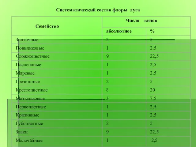 Систематический состав флоры луга