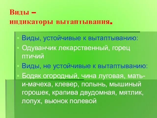 Виды – индикаторы вытаптывания. Виды, устойчивые к вытаптыванию: Одуванчик лекарственный, горец птичий