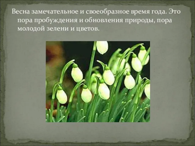 Весна замечательное и своеобразное время года. Это пора пробуждения и обновления природы,