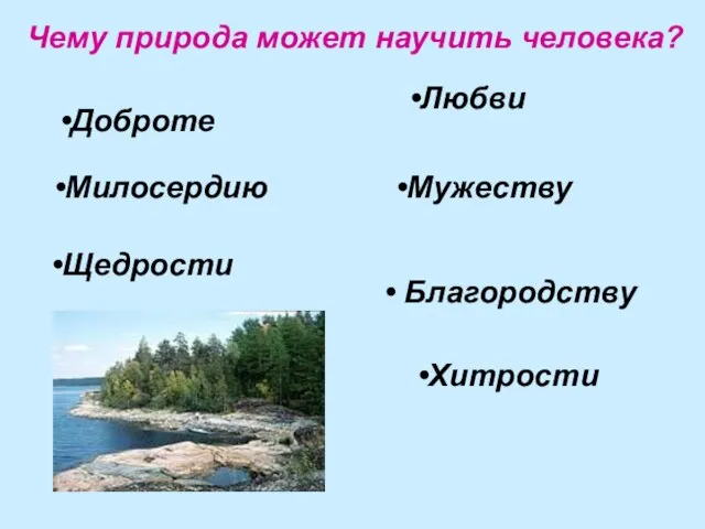 Чему природа может научить человека? Доброте Милосердию Щедрости Любви Мужеству Благородству Хитрости