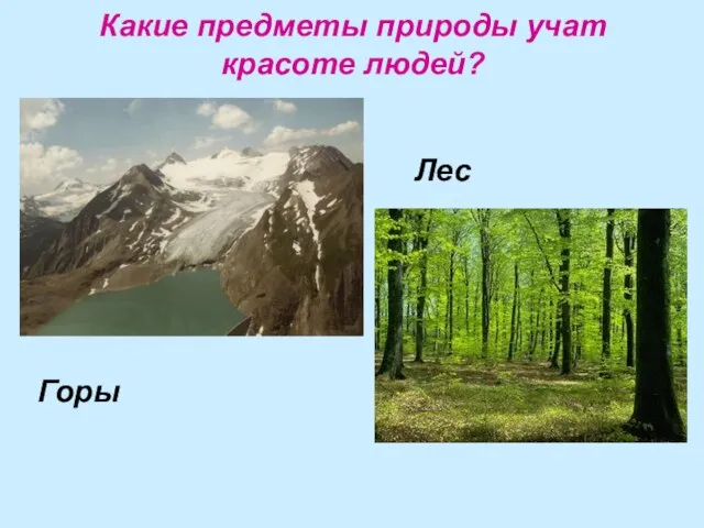 Какие предметы природы учат красоте людей? Горы Лес