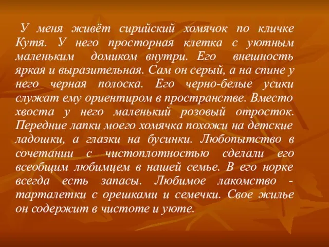 У меня живёт сирийский хомячок по кличке Кутя. У него просторная клетка