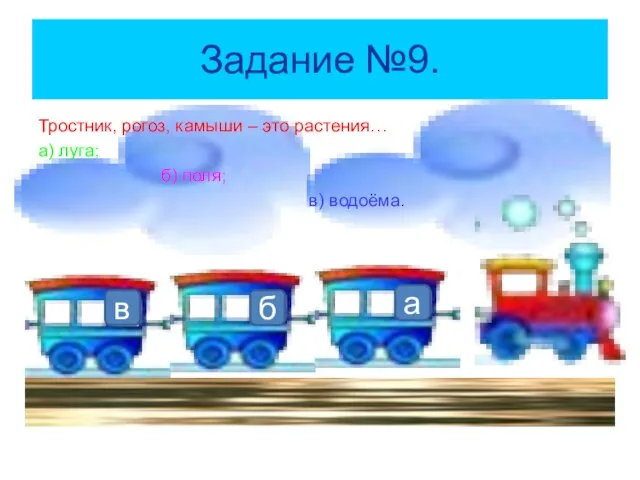 Задание №9. Тростник, рогоз, камыши – это растения… а) луга; б) поля;