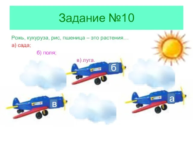 Задание №10 Рожь, кукуруза, рис, пшеница – это растения… а) сада; б)