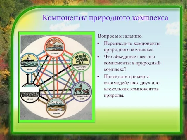 Компоненты природного комплекса Вопросы к заданию. Перечислите компоненты природного комплекса. Что объединяет