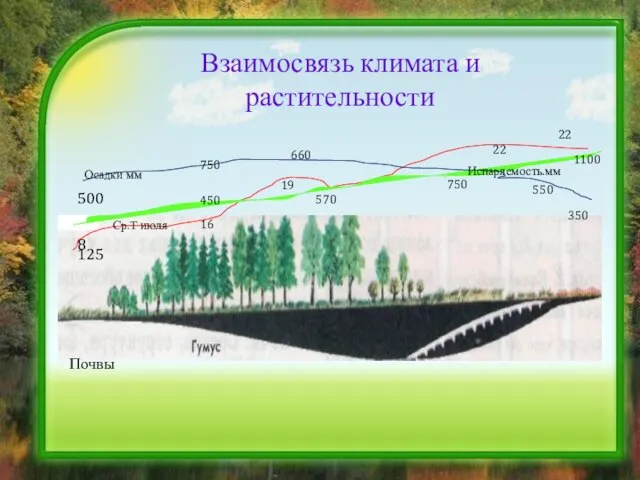 Взаимосвязь климата и растительности 125 8 500 Осадки мм Ср.Т июля Испаряемость.мм