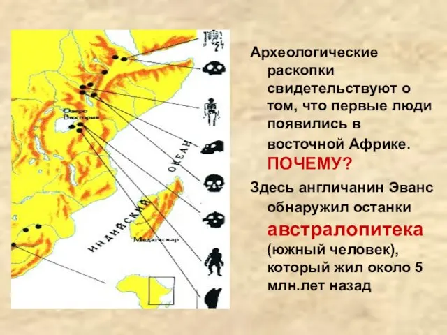 Археологические раскопки свидетельствуют о том, что первые люди появились в восточной Африке.