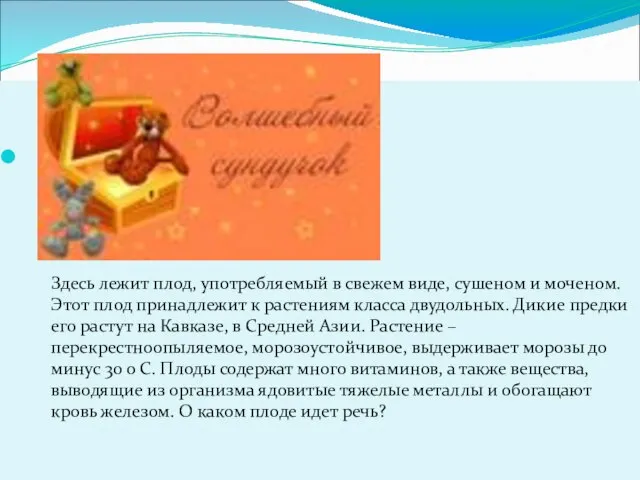 Здесь лежит плод, употребляемый в свежем виде, сушеном и моченом. Этот плод