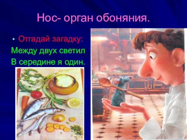 Нос- орган обоняния. Отгадай загадку: Между двух светил В середине я один.