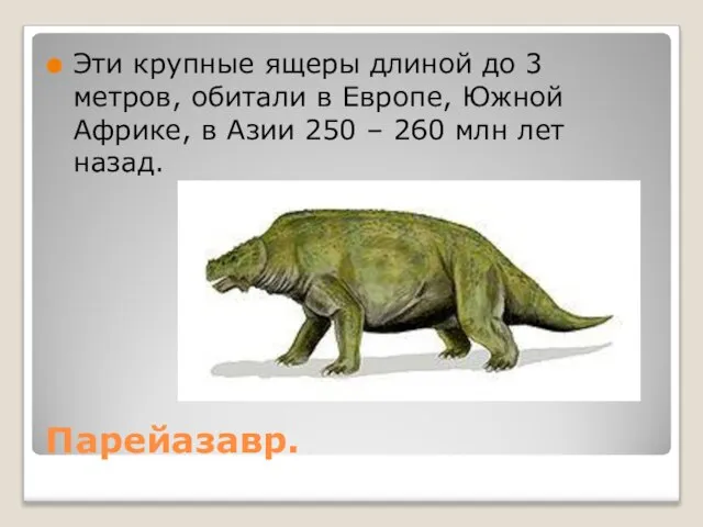 Парейазавр. Эти крупные ящеры длиной до 3 метров, обитали в Европе, Южной