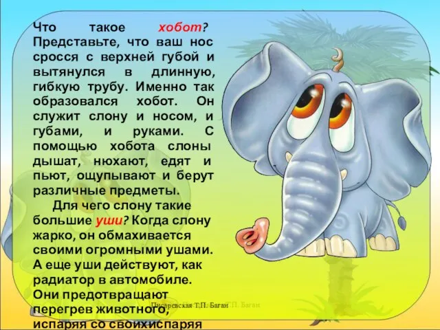 Писаревская Т.П. Баган Что такое хобот? Представьте, что ваш нос сросся с