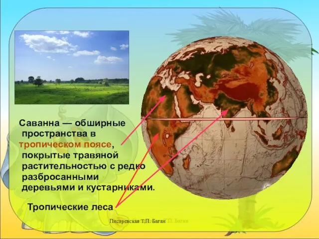 Писаревская Т.П. Баган Саванна — обширные пространства в тропическом поясе, покрытые травяной