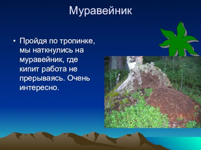 Муравейник Пройдя по тропинке, мы наткнулись на муравейник, где кипит работа не прерываясь. Очень интересно.