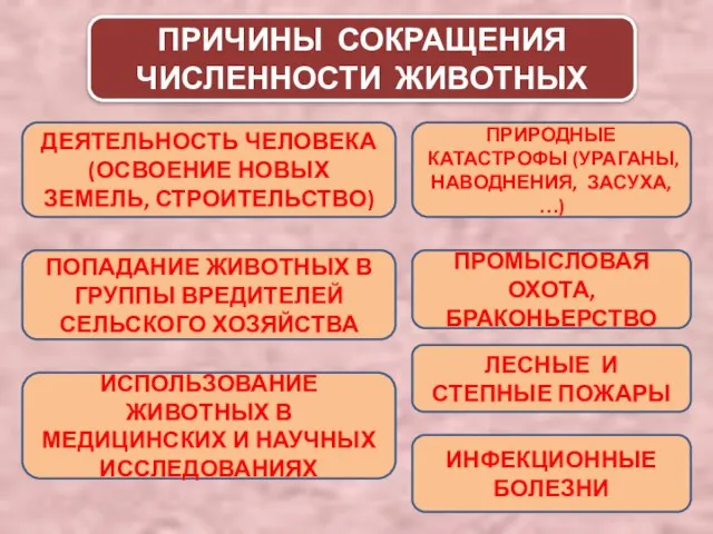 ПРИЧИНЫ СОКРАЩЕНИЯ ЧИСЛЕННОСТИ ЖИВОТНЫХ ДЕЯТЕЛЬНОСТЬ ЧЕЛОВЕКА (ОСВОЕНИЕ НОВЫХ ЗЕМЕЛЬ, СТРОИТЕЛЬСТВО) ПРИРОДНЫЕ КАТАСТРОФЫ