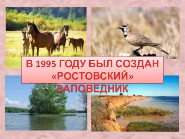 В 1995 ГОДУ БЫЛ СОЗДАН «РОСТОВСКИЙ» ЗАПОВЕДНИК