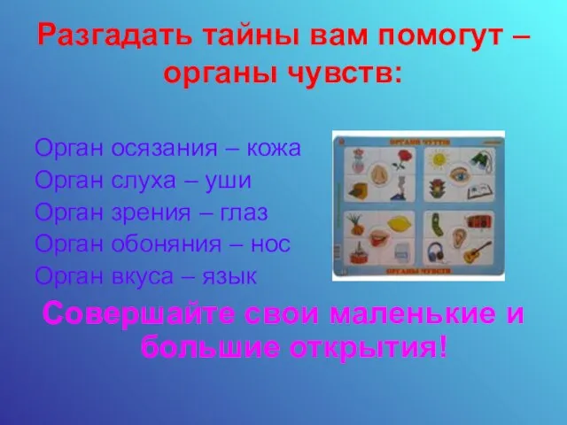 Разгадать тайны вам помогут – органы чувств: Орган осязания – кожа Орган