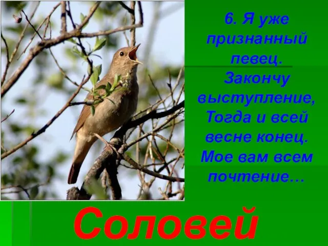 6. Я уже признанный певец. Закончу выступление, Тогда и всей весне конец.