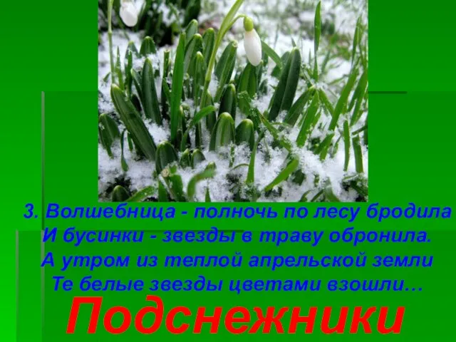 3. Волшебница - полночь по лесу бродила И бусинки - звезды в