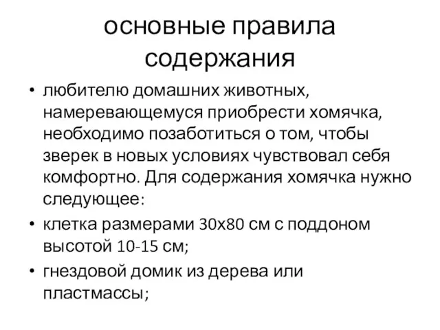 основные правила содержания любителю домашних животных, намеревающемуся приобрести хомячка, необходимо позаботиться о