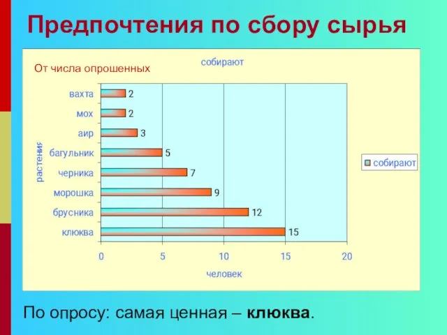 Предпочтения по сбору сырья По опросу: самая ценная – клюква. От числа опрошенных