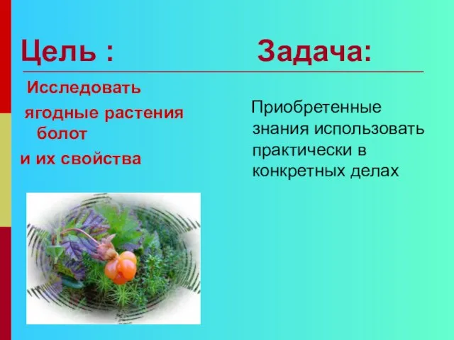 Цель : Задача: Исследовать ягодные растения болот и их свойства Приобретенные знания