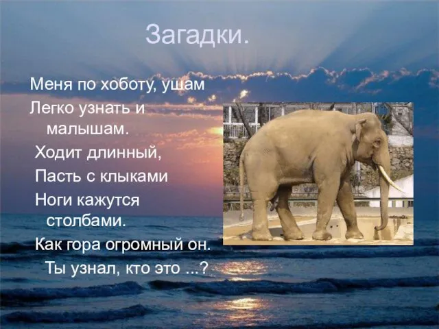 Загадки. Меня по хоботу, ушам Легко узнать и малышам. Ходит длинный, Пасть