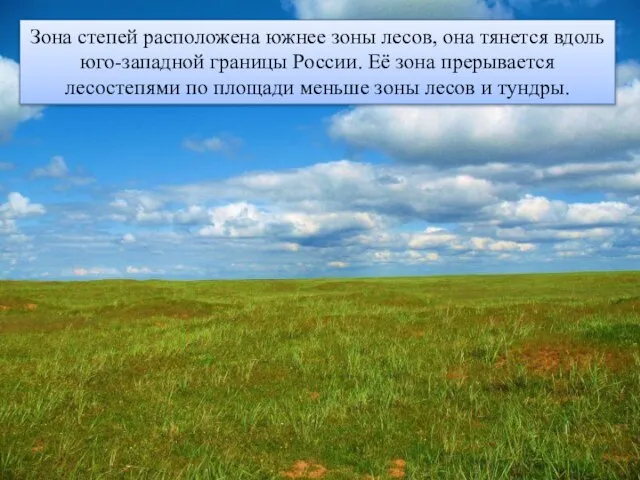 Зона степей расположена южнее зоны лесов, она тянется вдоль юго-западной границы России.