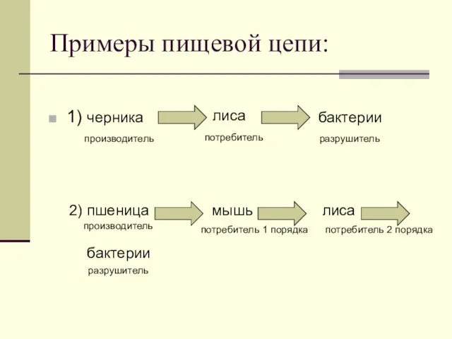 Примеры пищевой цепи: 1) черника лиса бактерии производитель потребитель разрушитель 2) пшеница