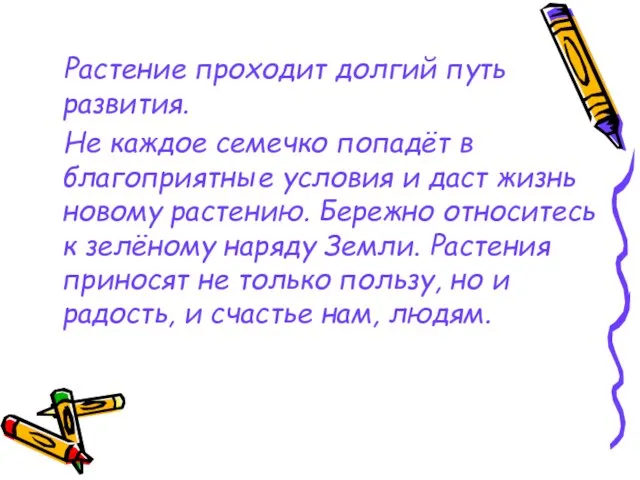 Растение проходит долгий путь развития. Не каждое семечко попадёт в благоприятные условия