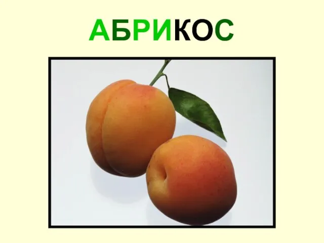 АБРИКОС