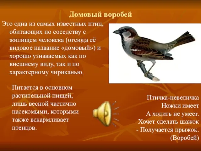 Домовый воробей Это одна из самых известных птиц, обитающих по соседству с