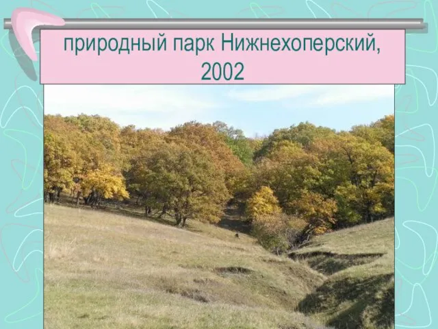 природный парк Нижнехоперский, 2002