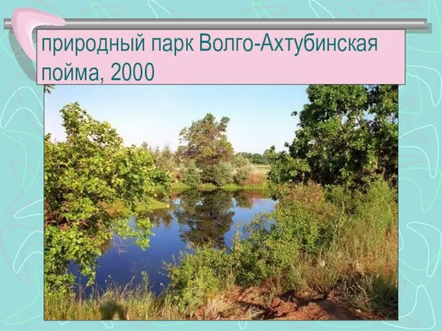 природный парк Волго-Ахтубинская пойма, 2000