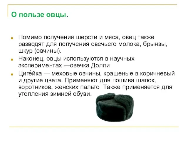 О пользе овцы. Помимо получения шерсти и мяса, овец также разводят для