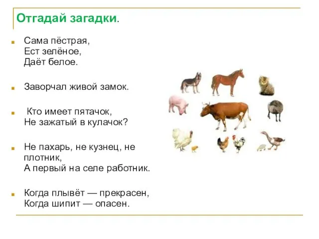 Отгадай загадки. Сама пёстрая, Ест зелёное, Даёт белое. Заворчал живой замок. Кто