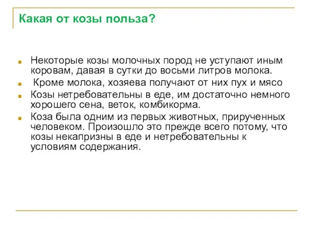 Какая от козы польза? Некоторые козы молочных пород не уступают иным коровам,