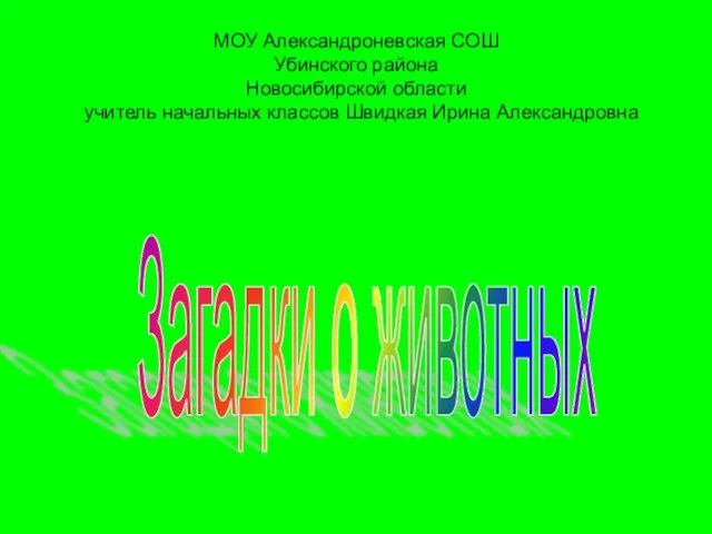 МОУ Александроневская СОШ Убинского района Новосибирской области учитель начальных классов Швидкая Ирина Александровна Загадки о животных