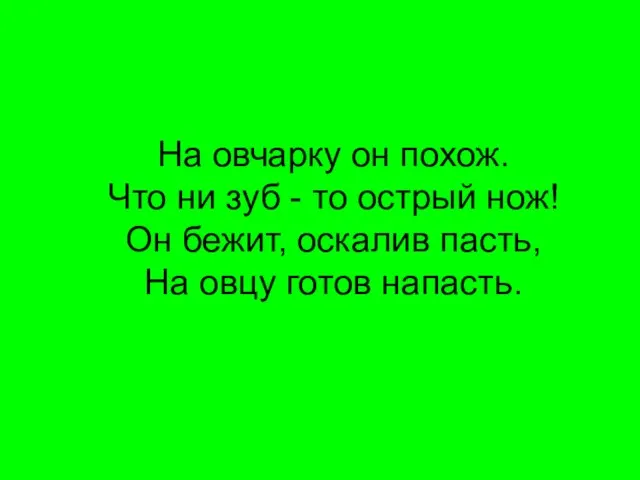 На овчарку он похож. Что ни зуб - то острый нож! Он