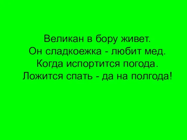 Великан в бору живет. Он сладкоежка - любит мед. Когда испортится погода.