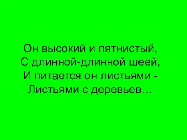 Он высокий и пятнистый, С длинной-длинной шеей, И питается он листьями - Листьями с деревьев…