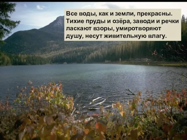 Все воды, как и земли, прекрасны. Тихие пруды и озёра, заводи и