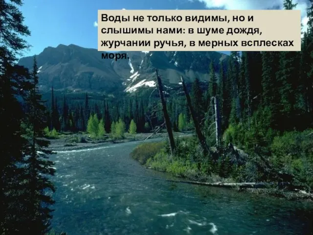 Воды не только видимы, но и слышимы нами: в шуме дождя, журчании