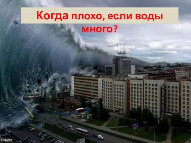 Когда плохо, если воды много?